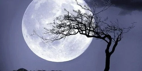 .friday moonNB-194766-636223149800135674.jpg