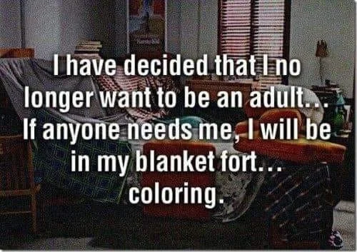 .a adult blanket fort.jpg