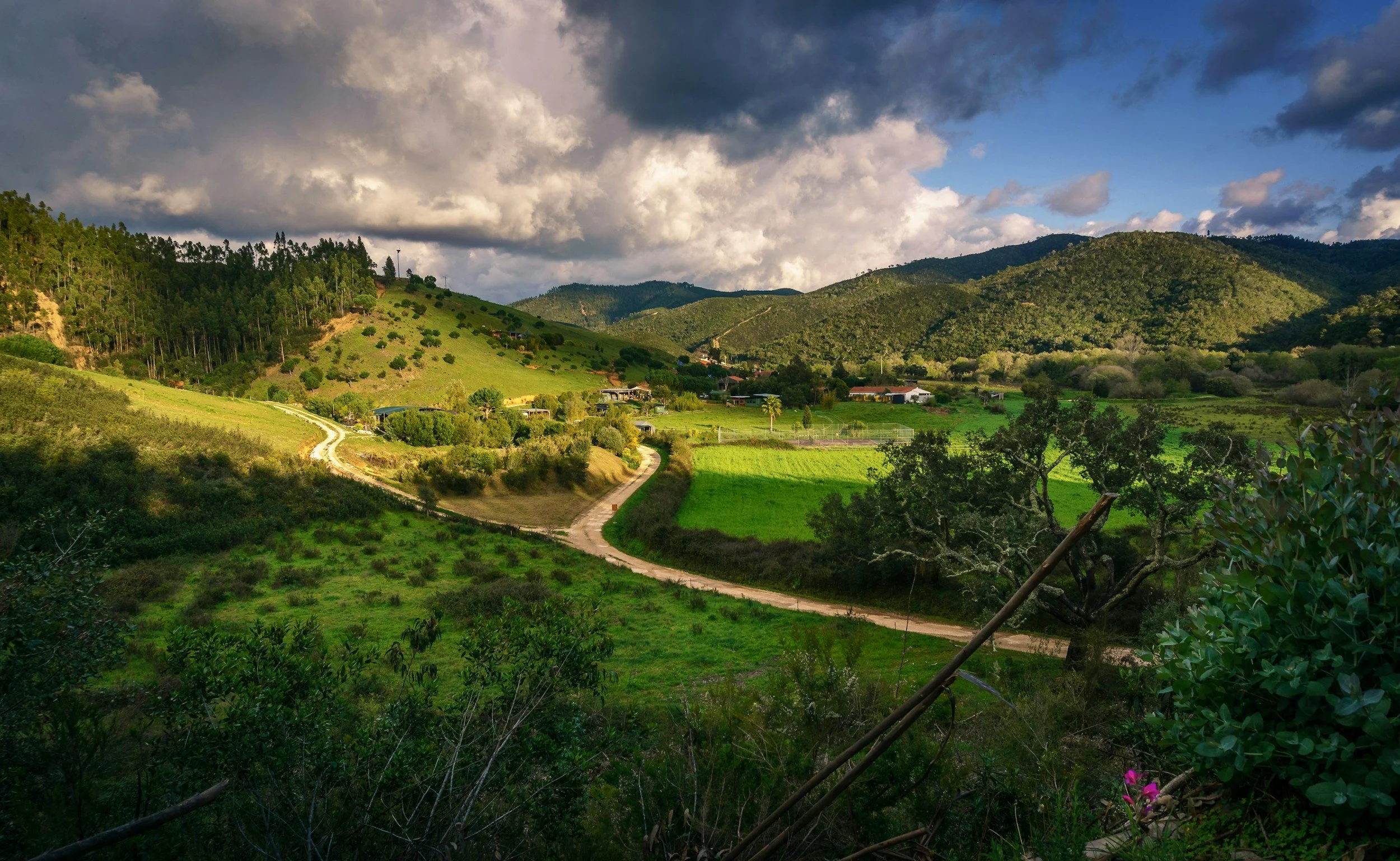 From Luís Alvoeiro Quaresma @mralvo on UnSplash