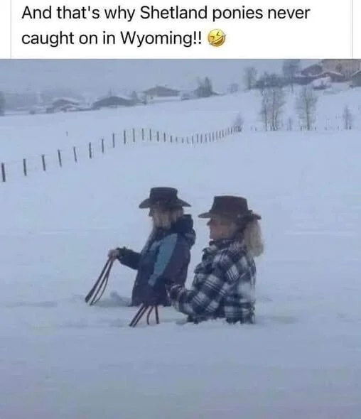 snow in Wyo.jpg