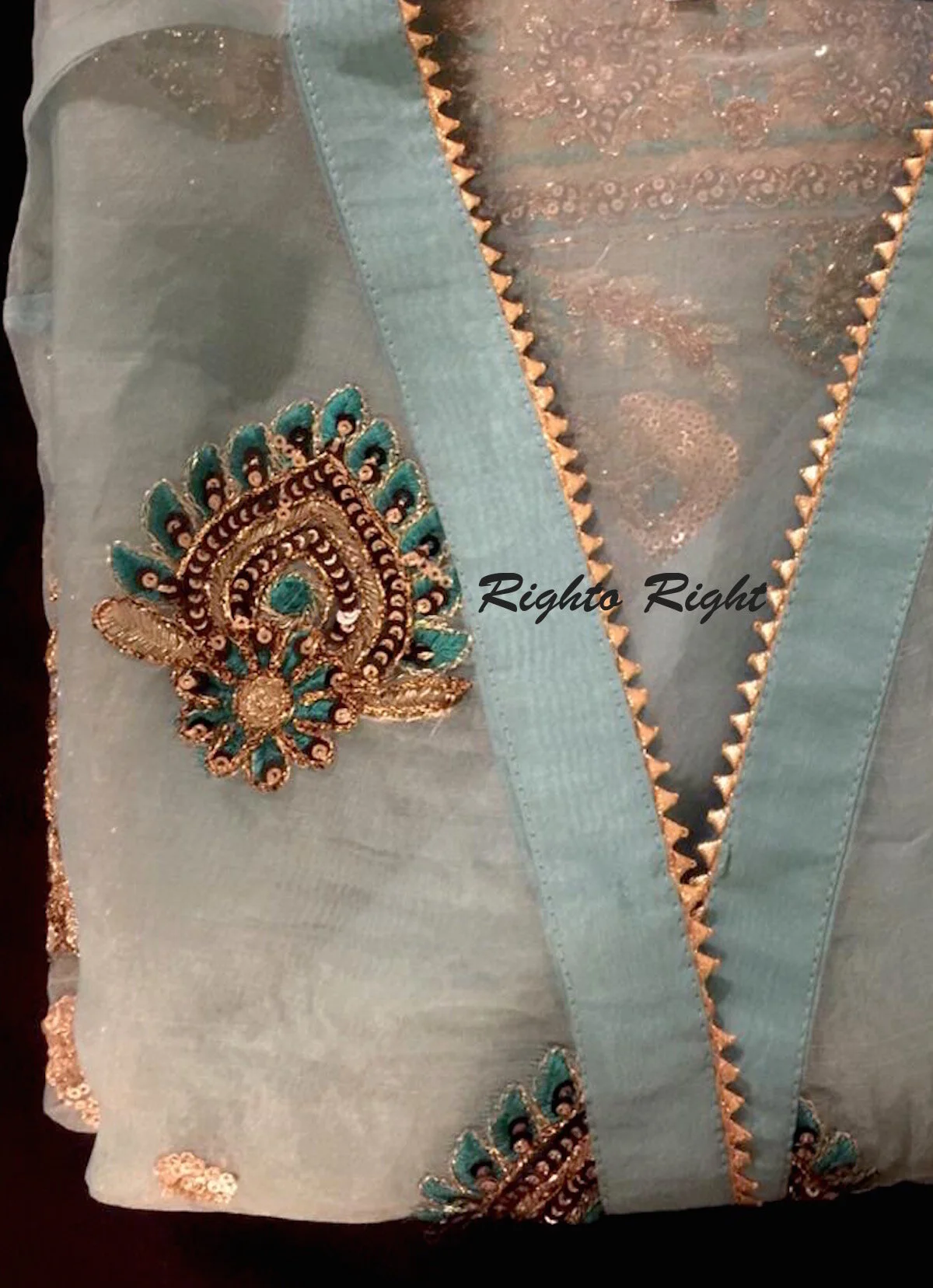 Pakistani Dress Size L, XL Organza | 2 