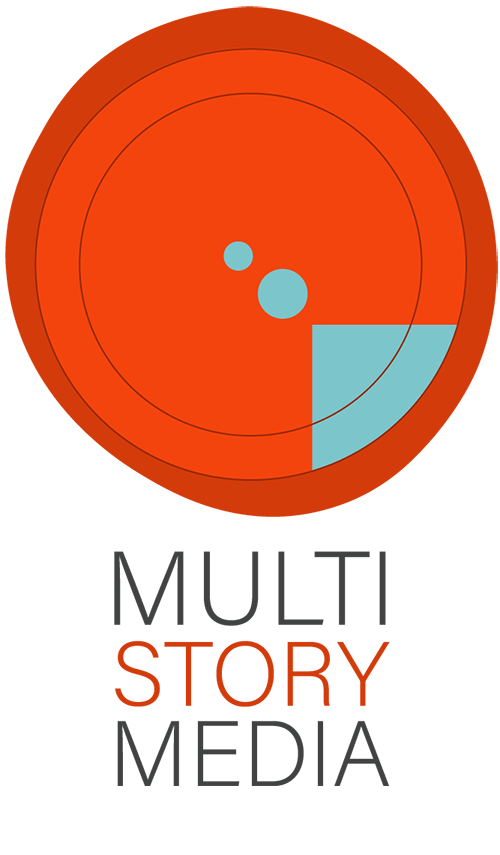 Multi Story Media.png