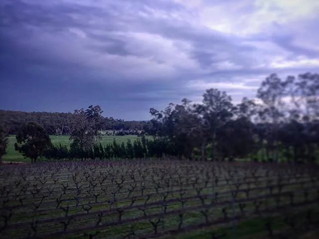 Look at that sky...time to shut shop...it&rsquo;s the end of our working week....we had a fabulous weekend...thanks for the &ldquo;good vibes&rdquo; people!
See you again on Thursday ✌🏻🍷 We are open and would love to see you! If you want to come with a group, please contact us for a booking as we need to keep the numbers within the guidelines. 
0409 831 926
info@bartonjoneswines.com.au
10-5 Thursday-Monday 
#keeplocalalive
📸 @yabberup_studio