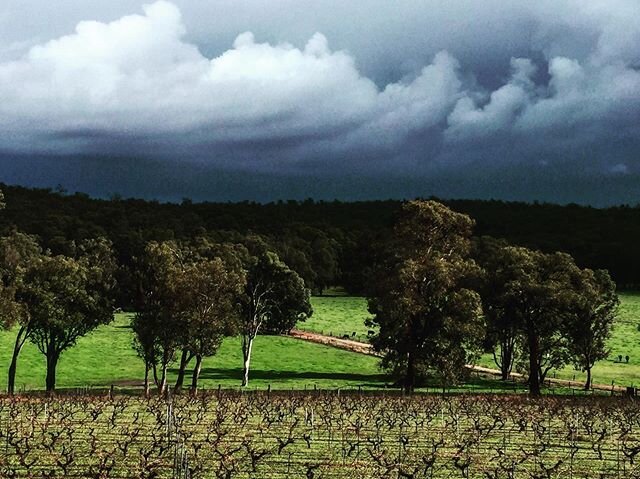 Looks like a good day for a hot crispy pie or a comforting bowl of warm soup...with a glass of red of course!🍷🥧🍵
You can sit at our bar inside and watch the weather perform💦🌬⛈ We are open and would love to see you! If you want to come with a group, please contact us for a booking as we need to keep the numbers within the guidelines. 
0409 831 926
info@bartonjoneswines.com.au
10-5 Thursday-Monday 
#keeplocalalive
📸 @yabberup_studio