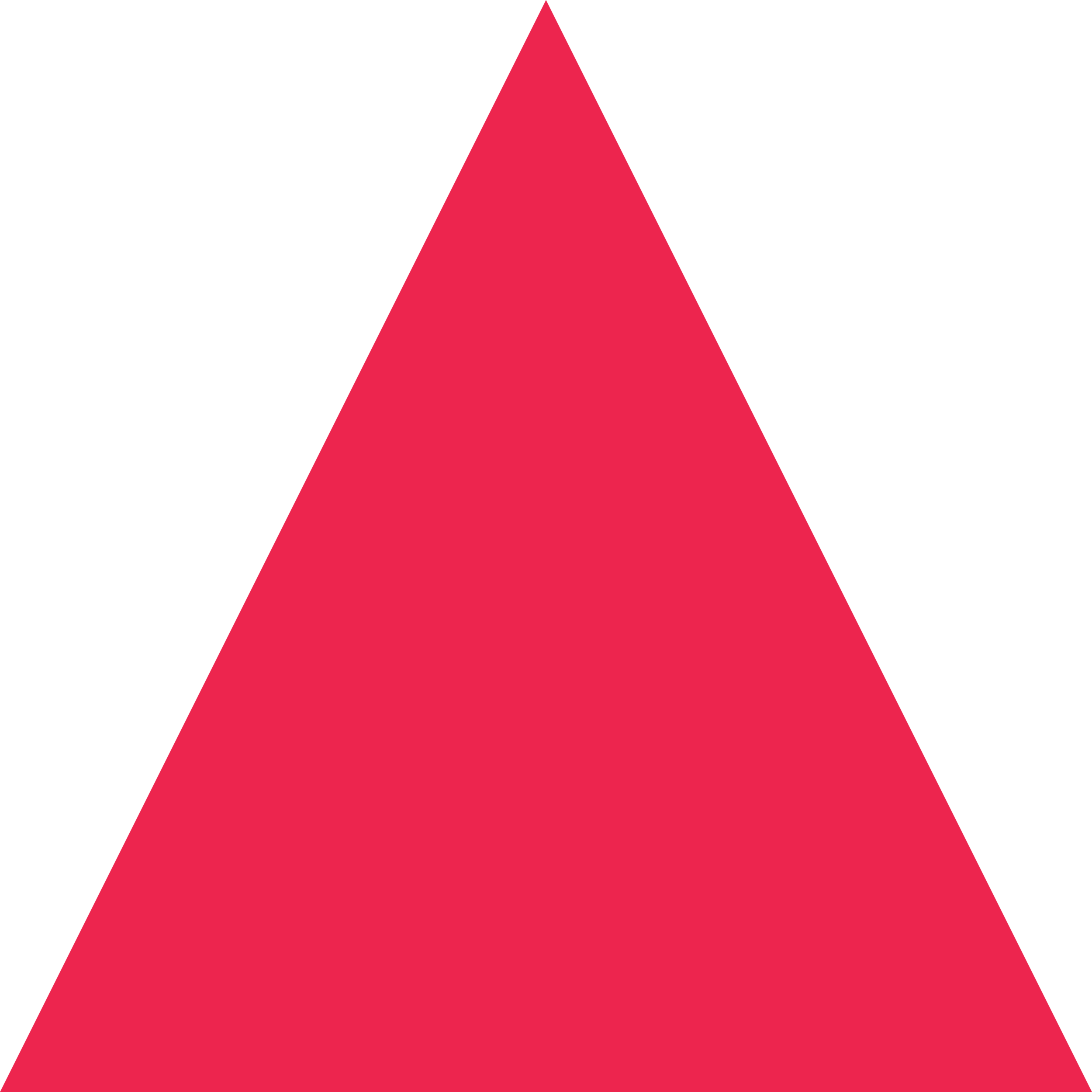 pink triangle.png