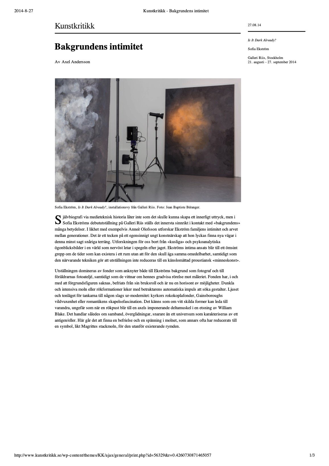 2014_Kunstkritikk - Bakgrundens intimitet.jpg