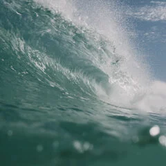 Troy_Allwright_Photography_Homepage-4.jpg