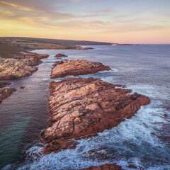 Troy_Allwright_Photography_Homepage-0786.jpg