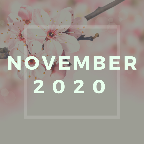 november 2020.png