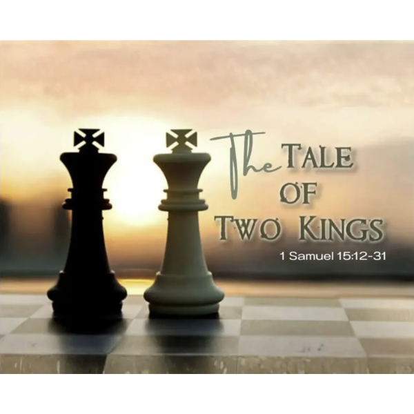 15/02/26 - Pat Myers