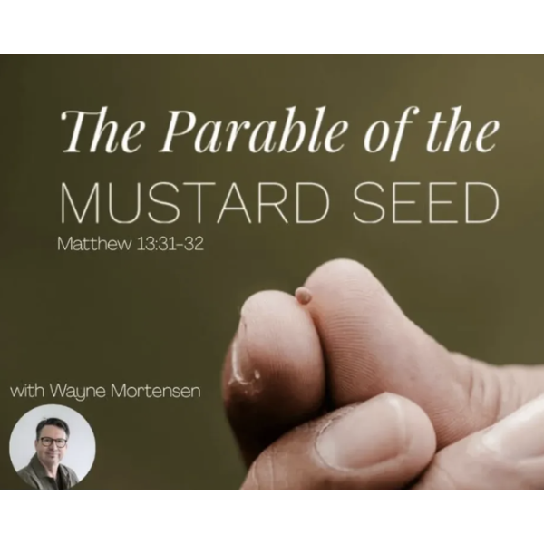 29/03/26 - Wayne Mortensen