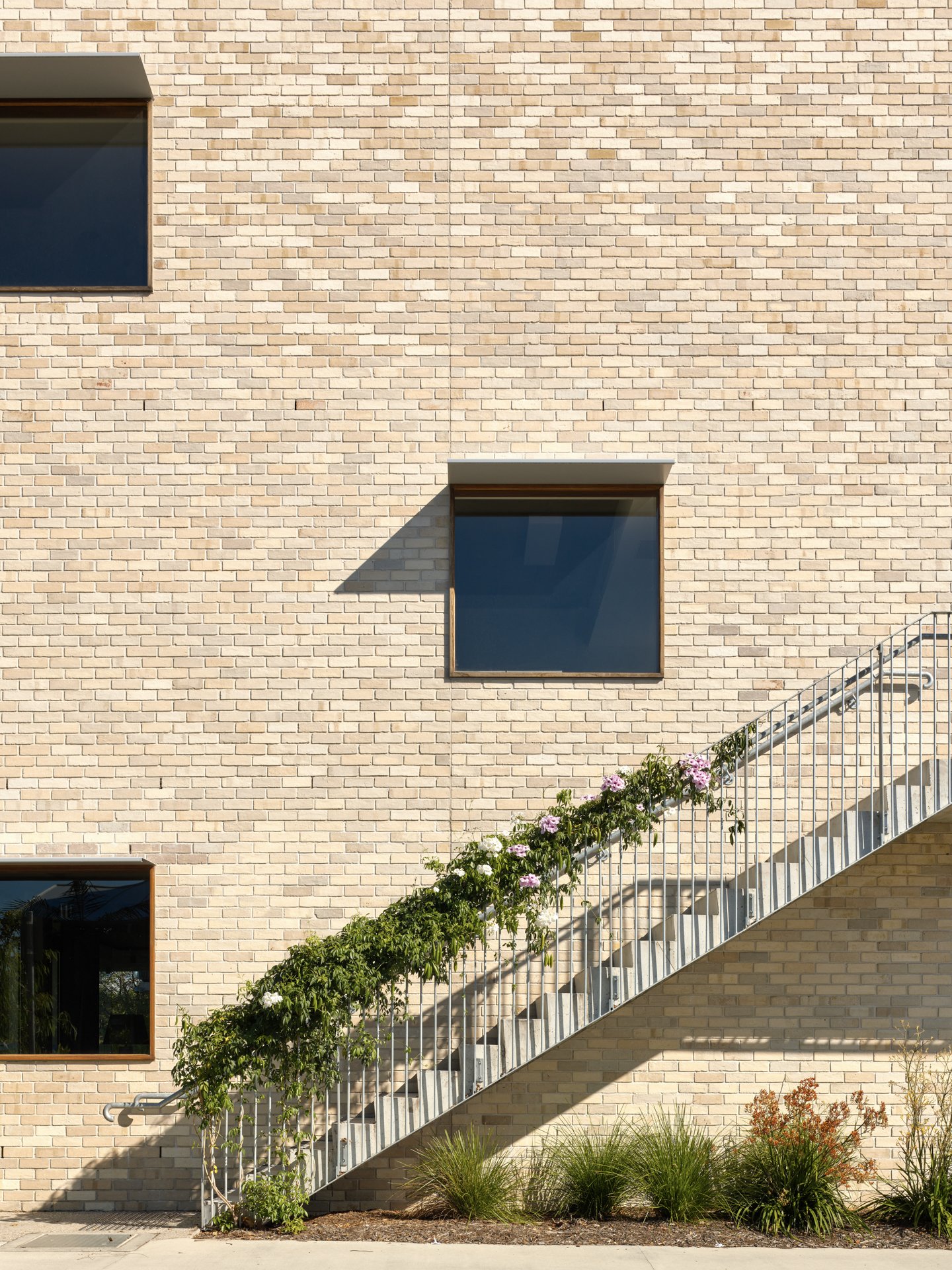 Krause Bricks and architectural Windows