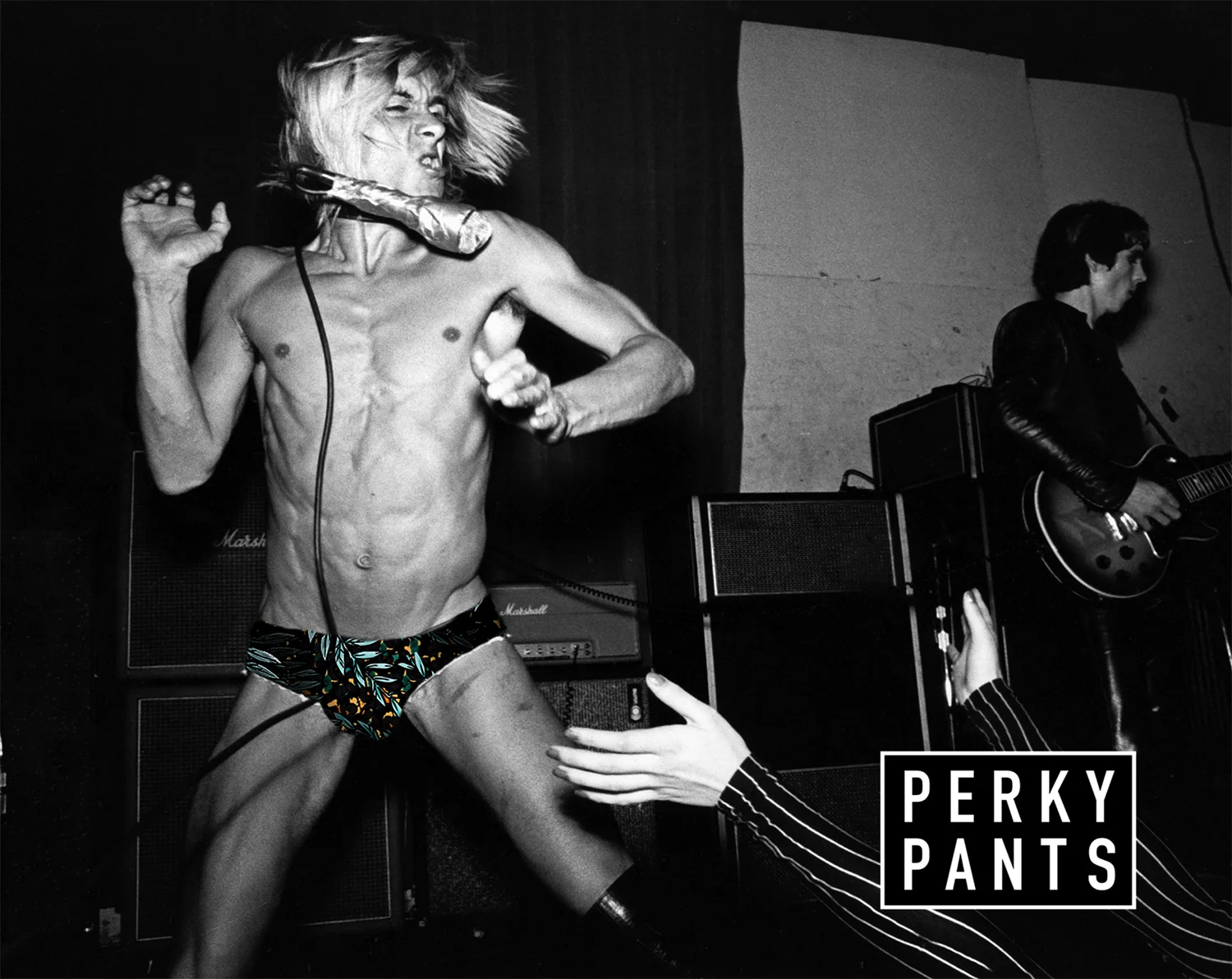 PERKYPANTS-BRAND-7jpg