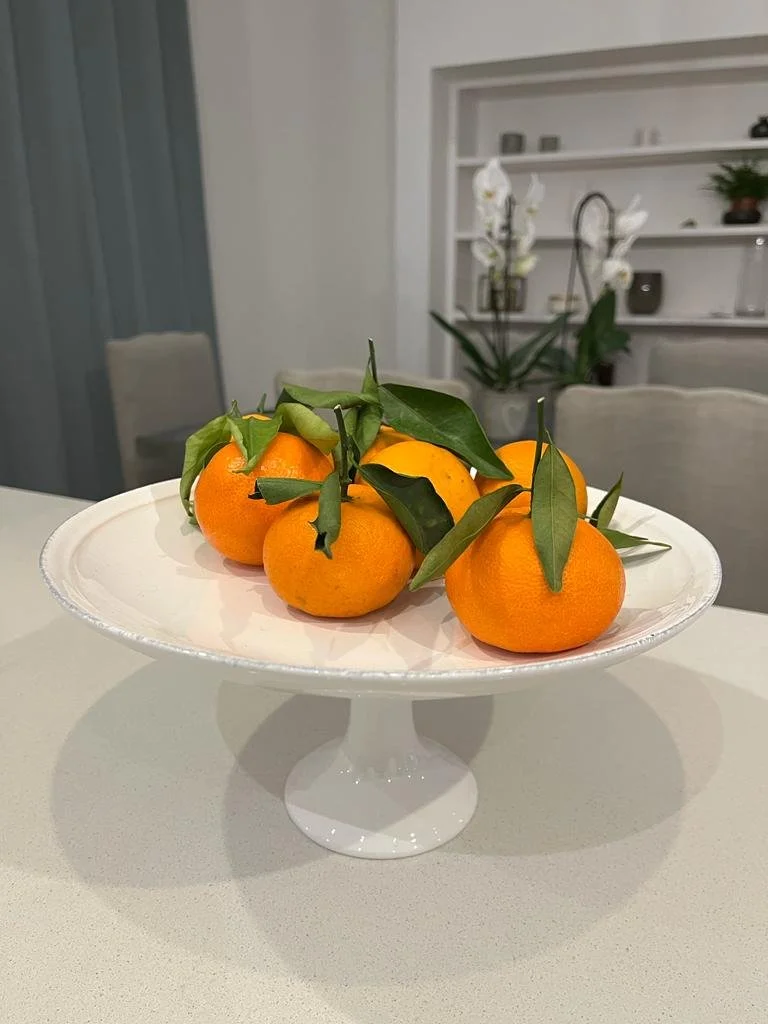 ab98967f-791d-4c1c-8b8d-659d1e4999ef 4.JPG