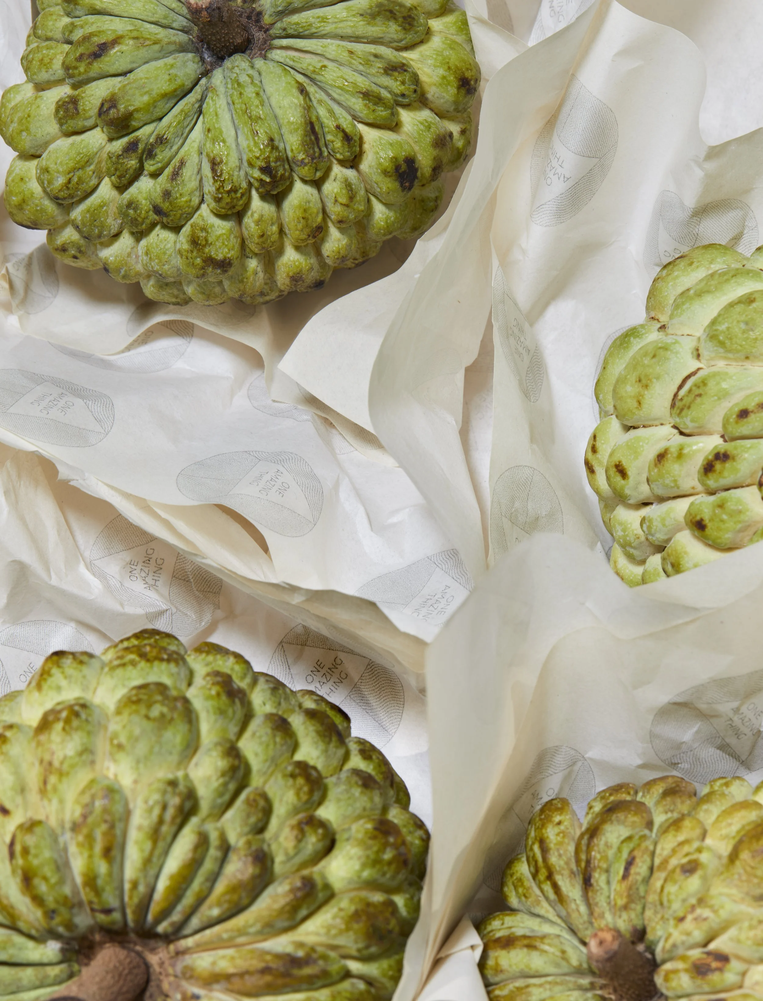 One Amazing Thing - BPB4217 copy.jpg