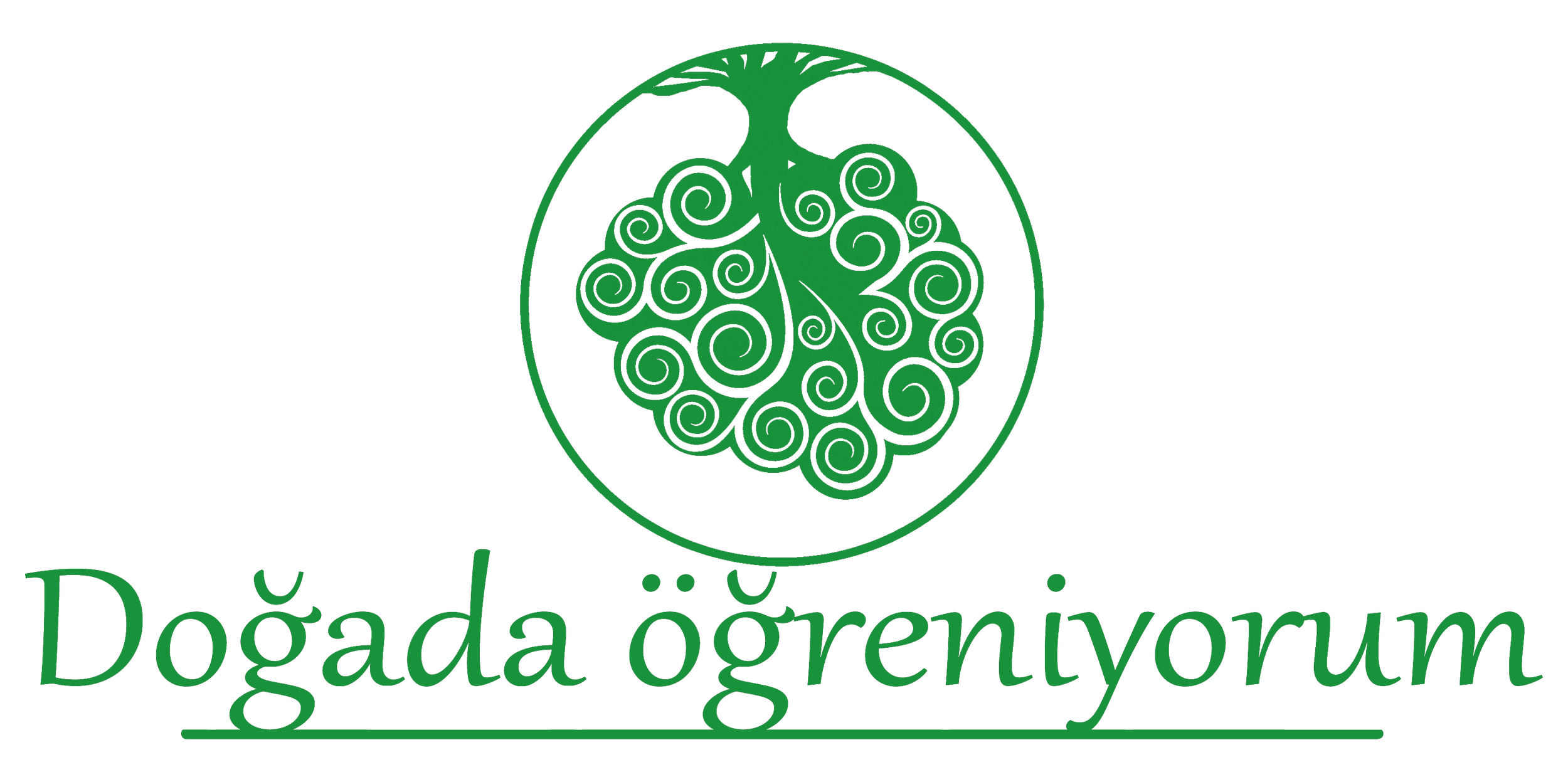 Dogada ogreniyorum _green_noshadow.png