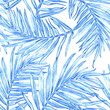 palmfronds_110x110.png
