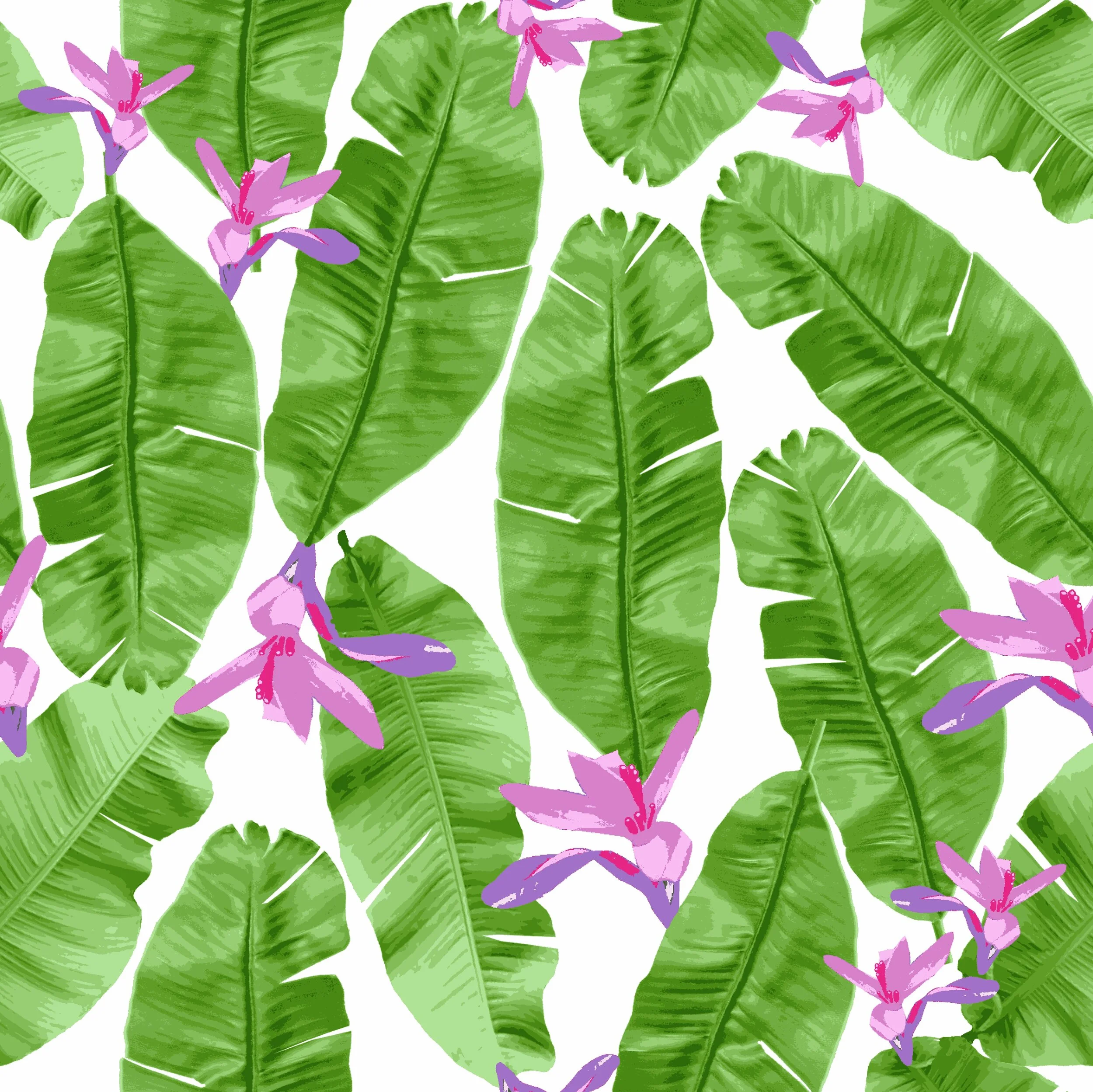 9860-HAVANA_repeat_indexed_RC_PB copy.jpg