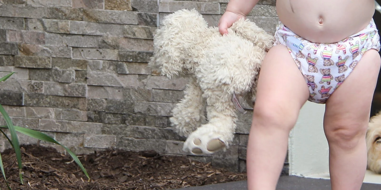 em+teddy+banner.jpg