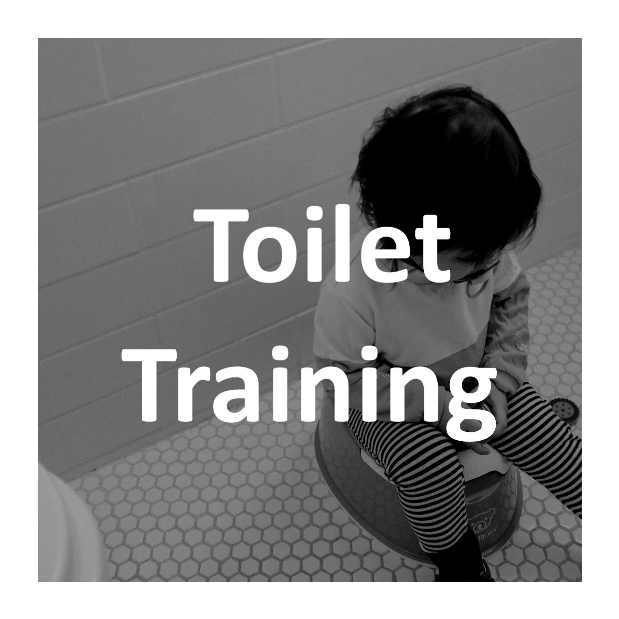 toilet training.jpg