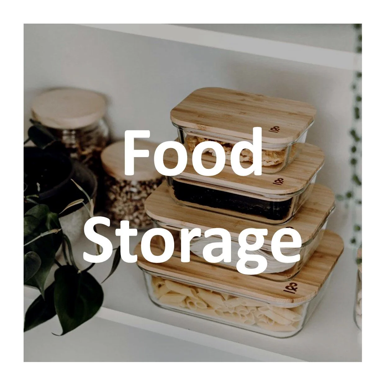 plastic-free_eco_food_containers.jpg