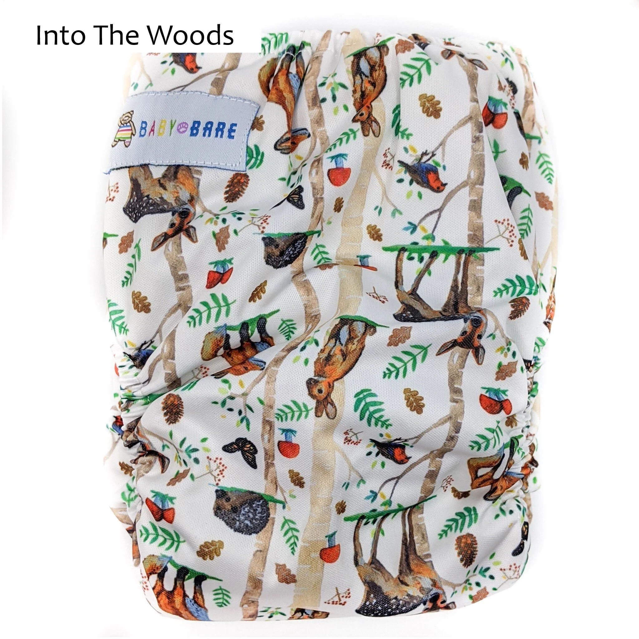 teddy into the woods.jpg