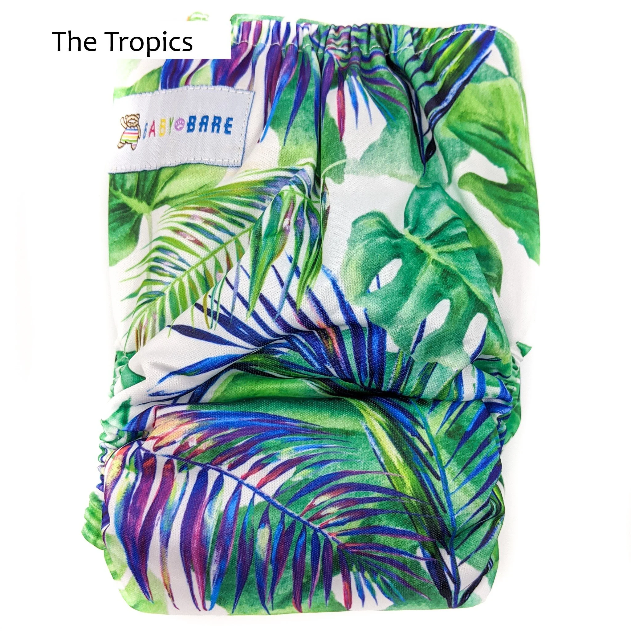 TEDDY THE TROPICS-2.jpg