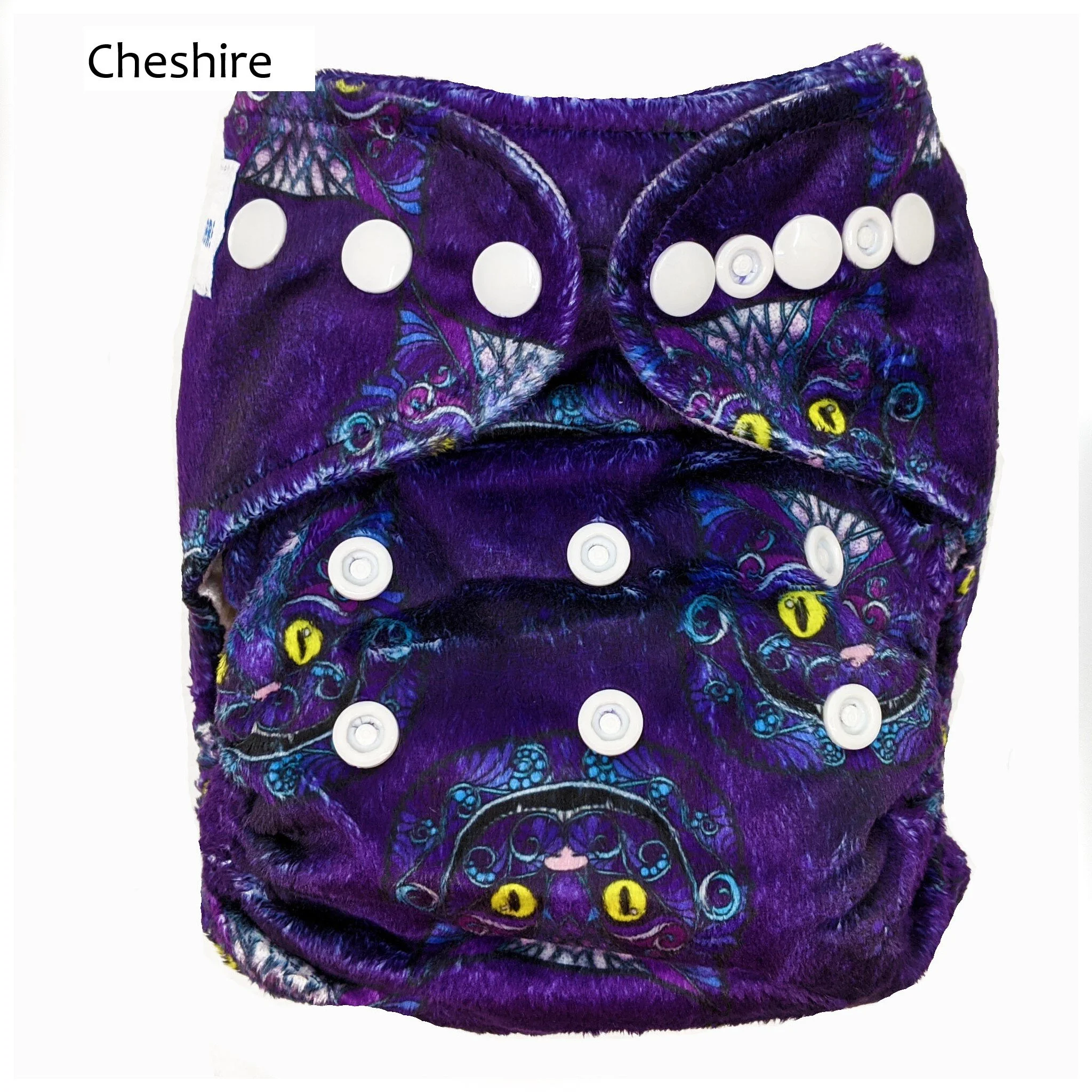 CHESHIRE.jpg