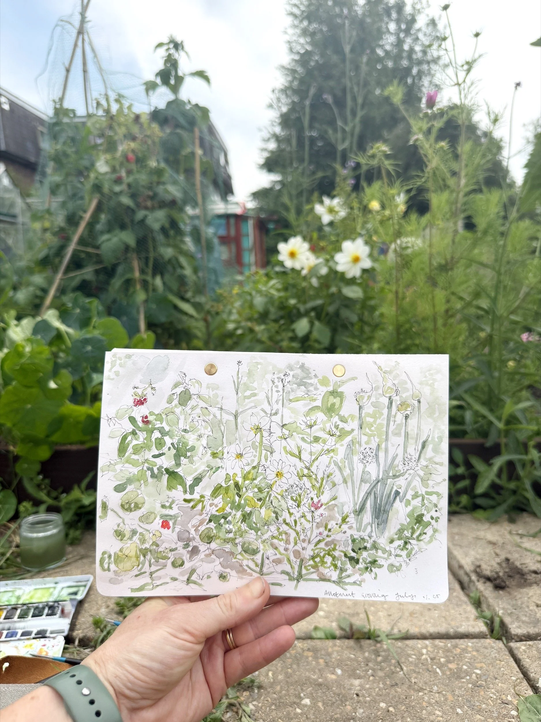 A white woman's hand holding up a sketchbook with a loose watercolour illustration of an allotment. The allotment is visible blurred in the background as a sea of green textures and colours. The allotment sketch captures these in colour