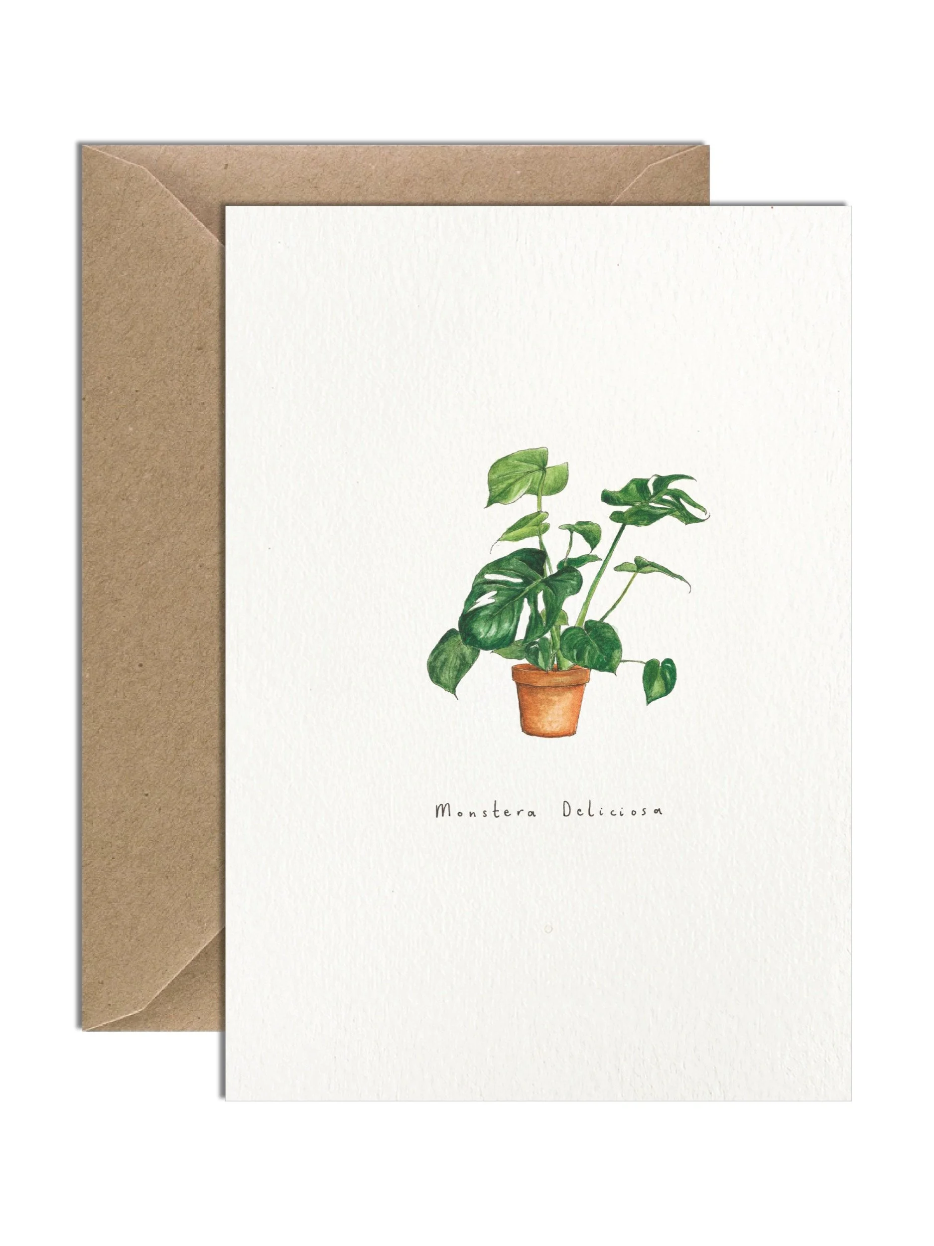 Watercolour illustration of a Monstera Deliciosa in a terracotta pot, showcasing its signature split leaves. Off-white greetings card with a brown kraft envelope tucked behind.