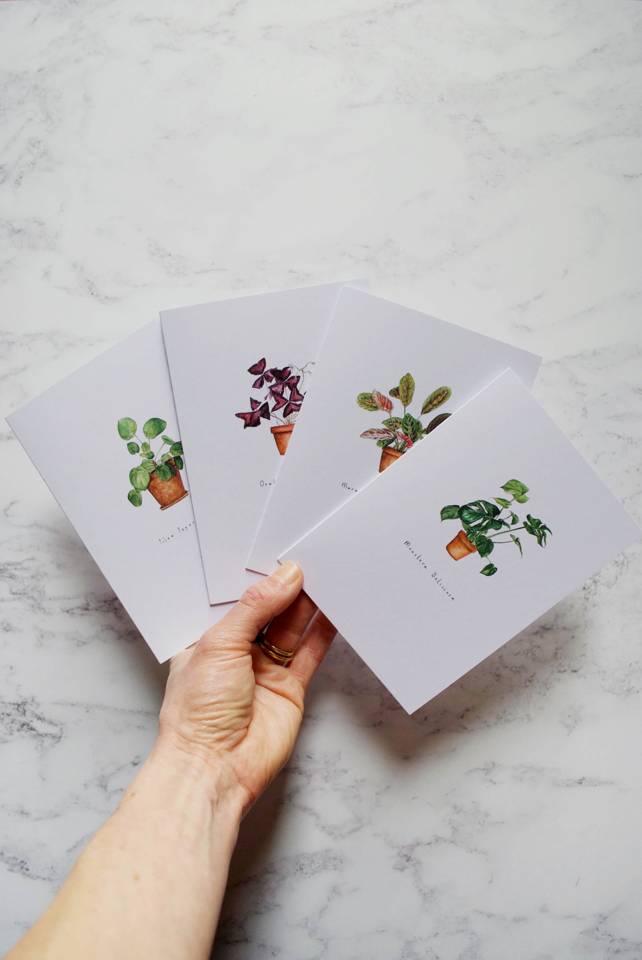 House Plant Greetings Cards