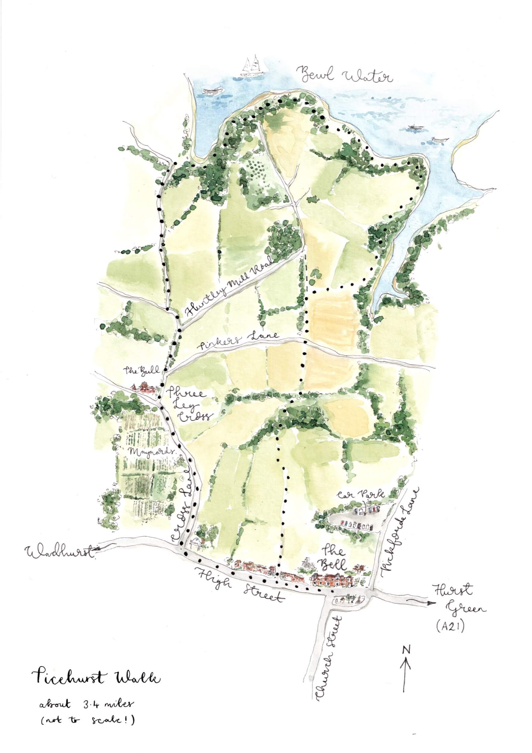 Ticehurst Walk Map