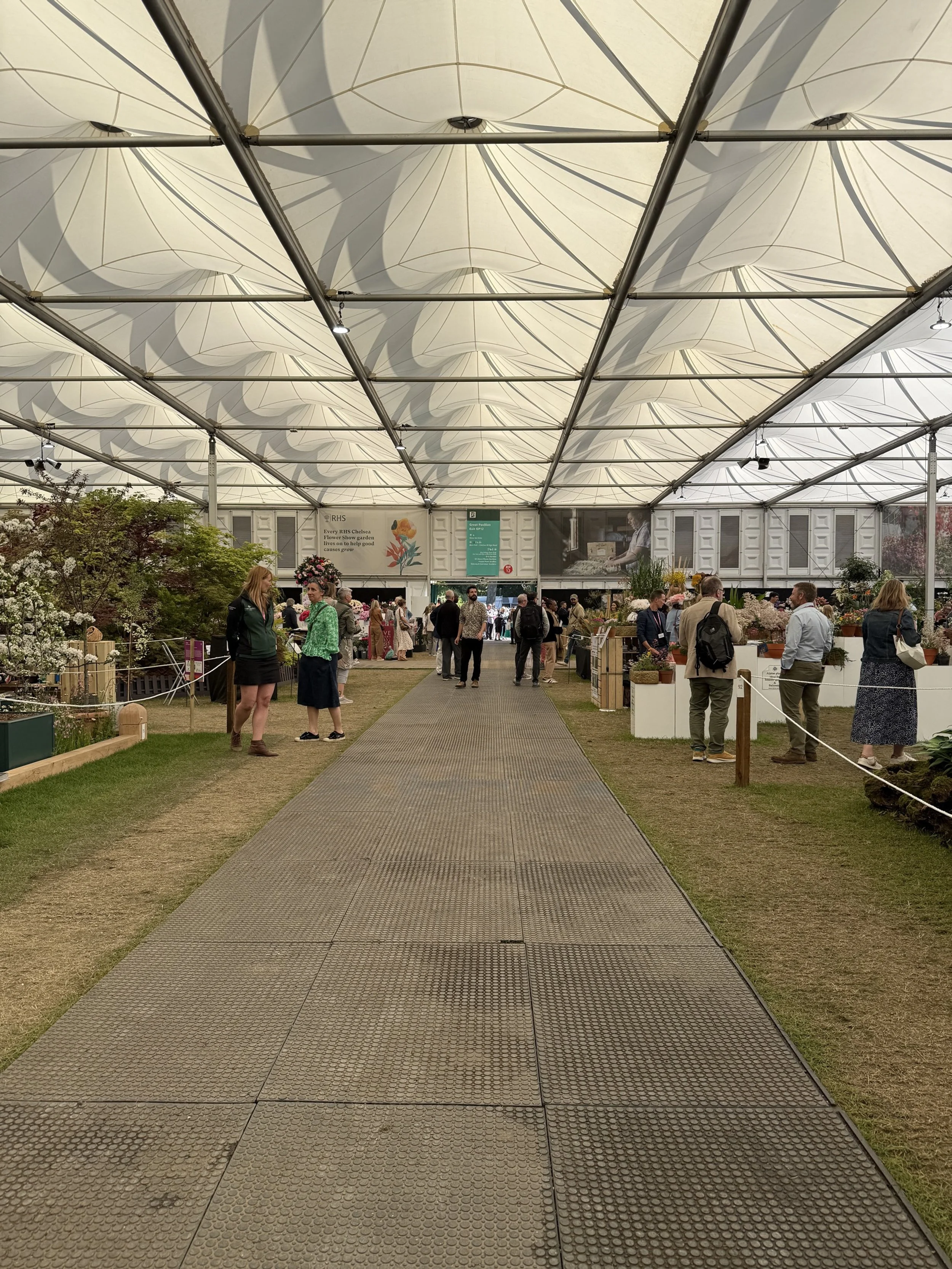 RHS Chelsea Flower Show 2025_4869-imogen-partridge-illustration-and-design.JPG