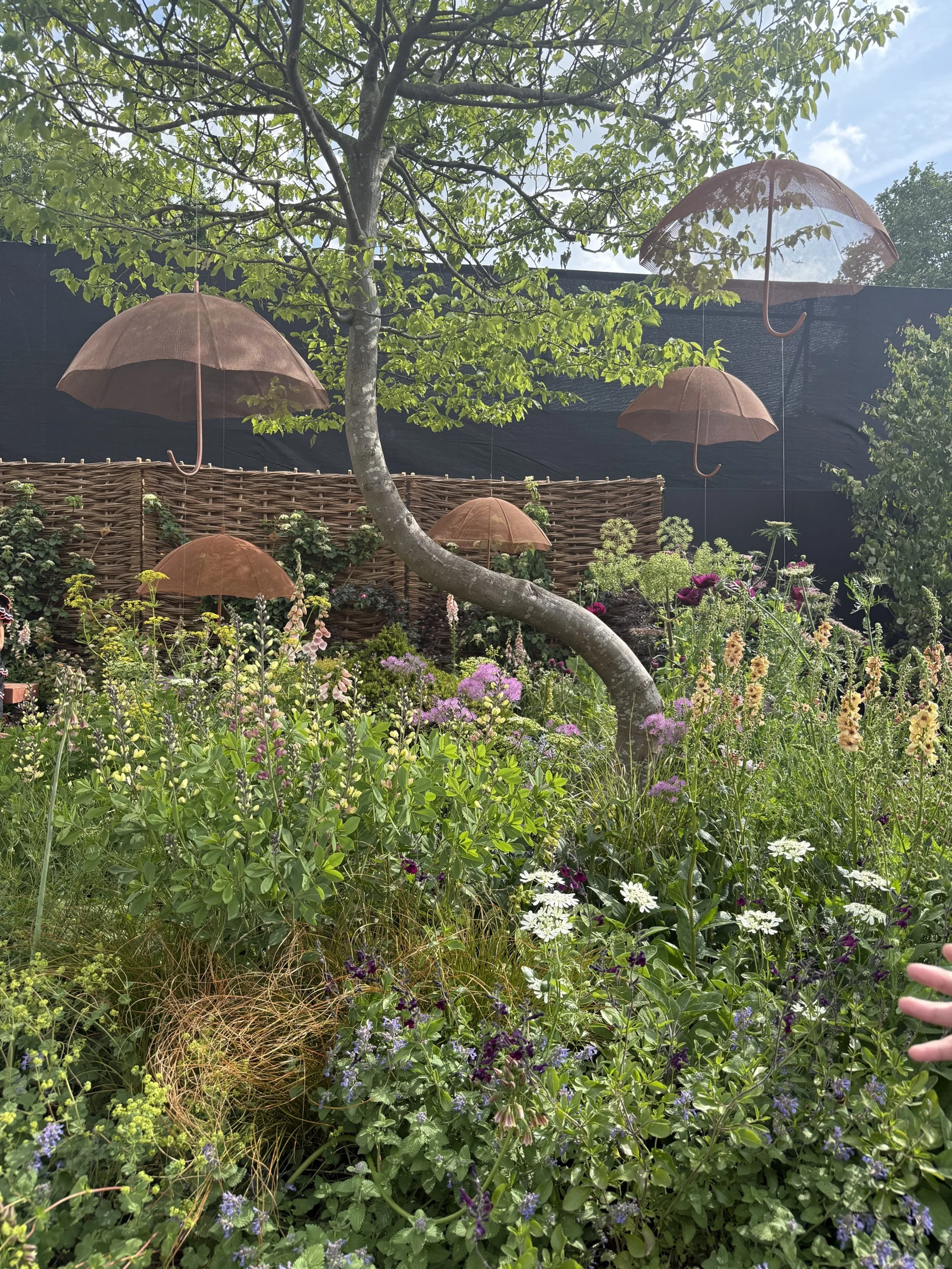 RHS Chelsea Flower Show 2025_4997-imogen-partridge-illustration-and-design.JPG