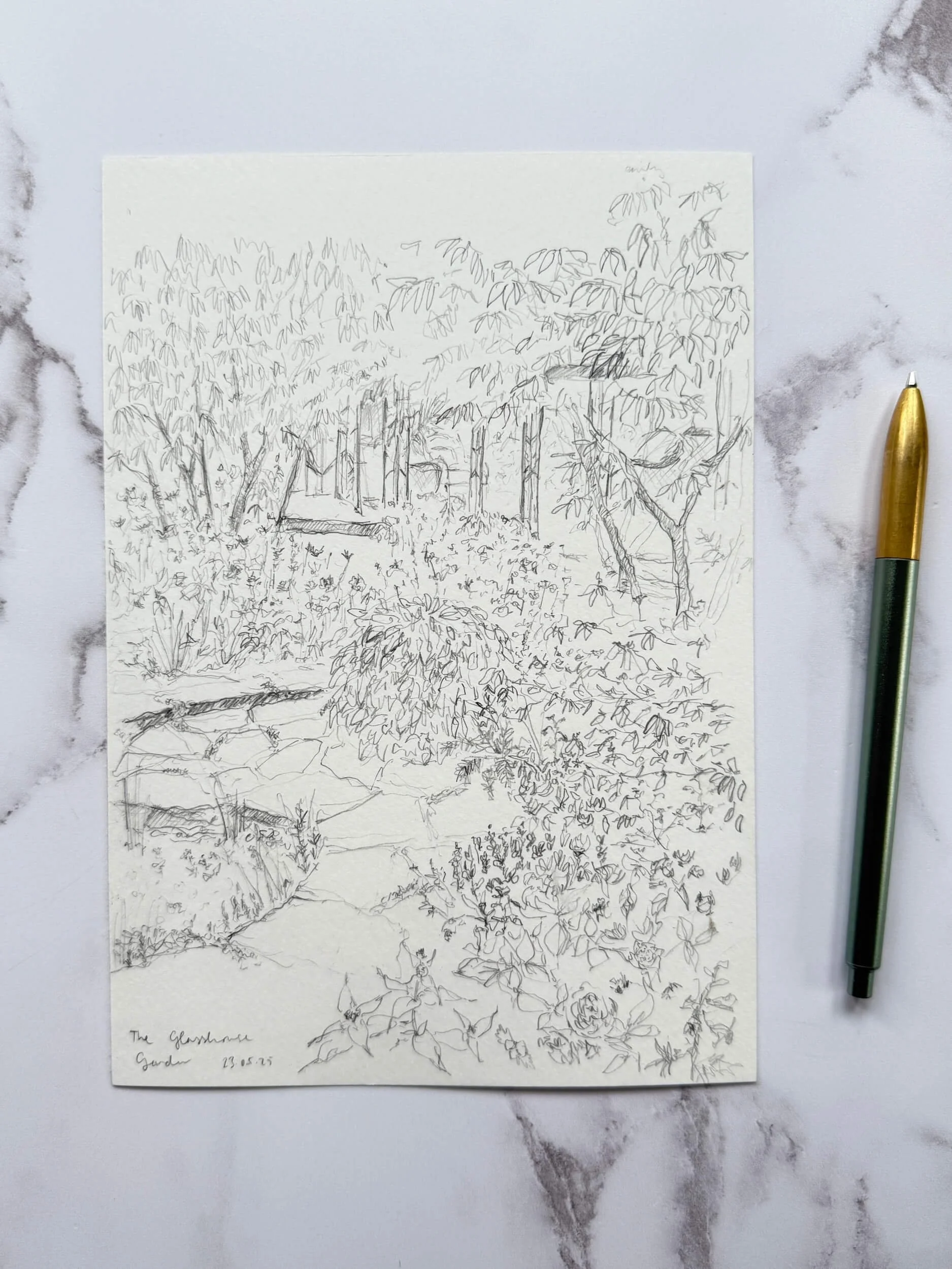The Glasshouse Garden Sketch