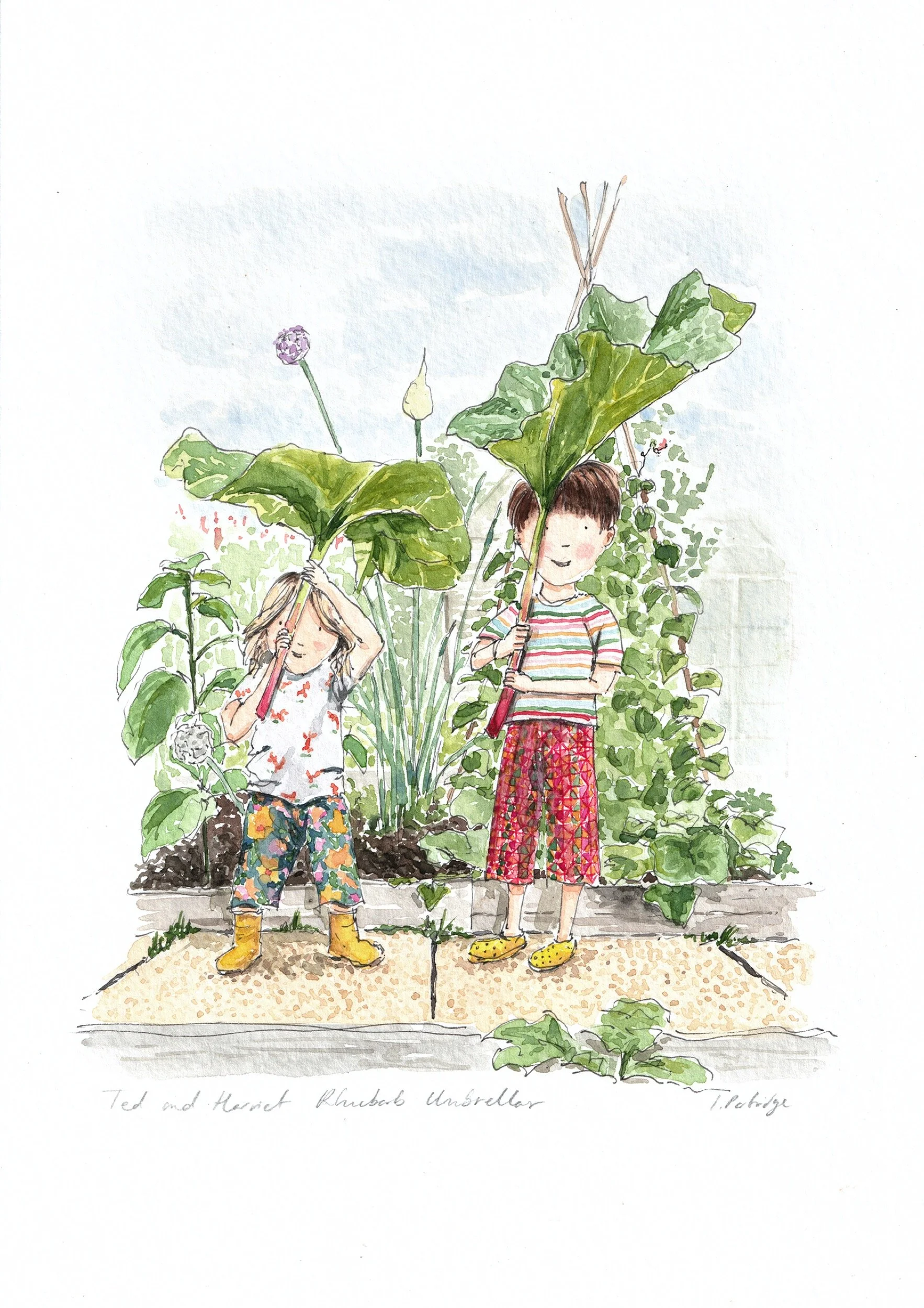 Childrens Illustration