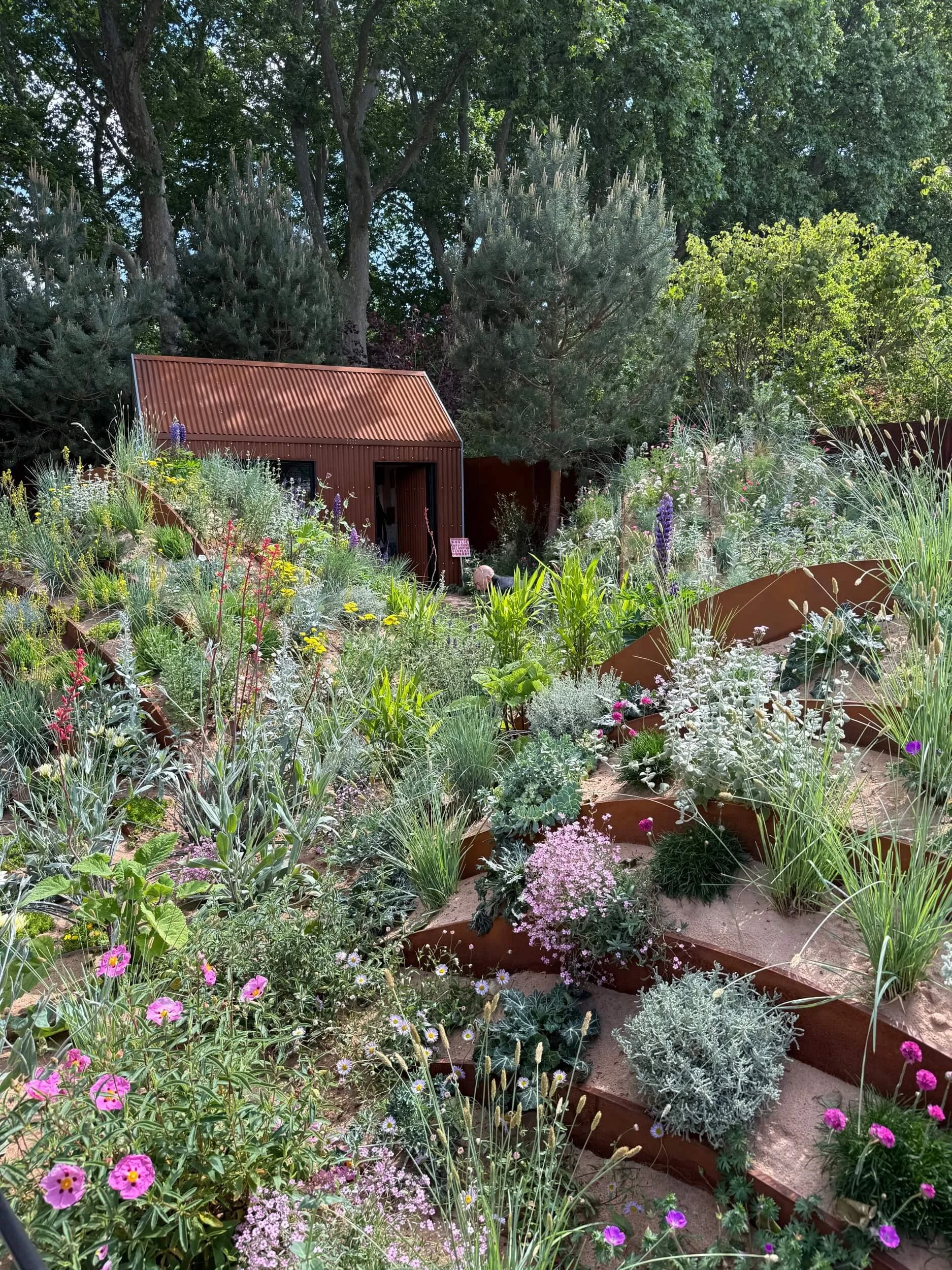 Hospital Fields Art Garden at RHS Chelsea Flower Show 2025 