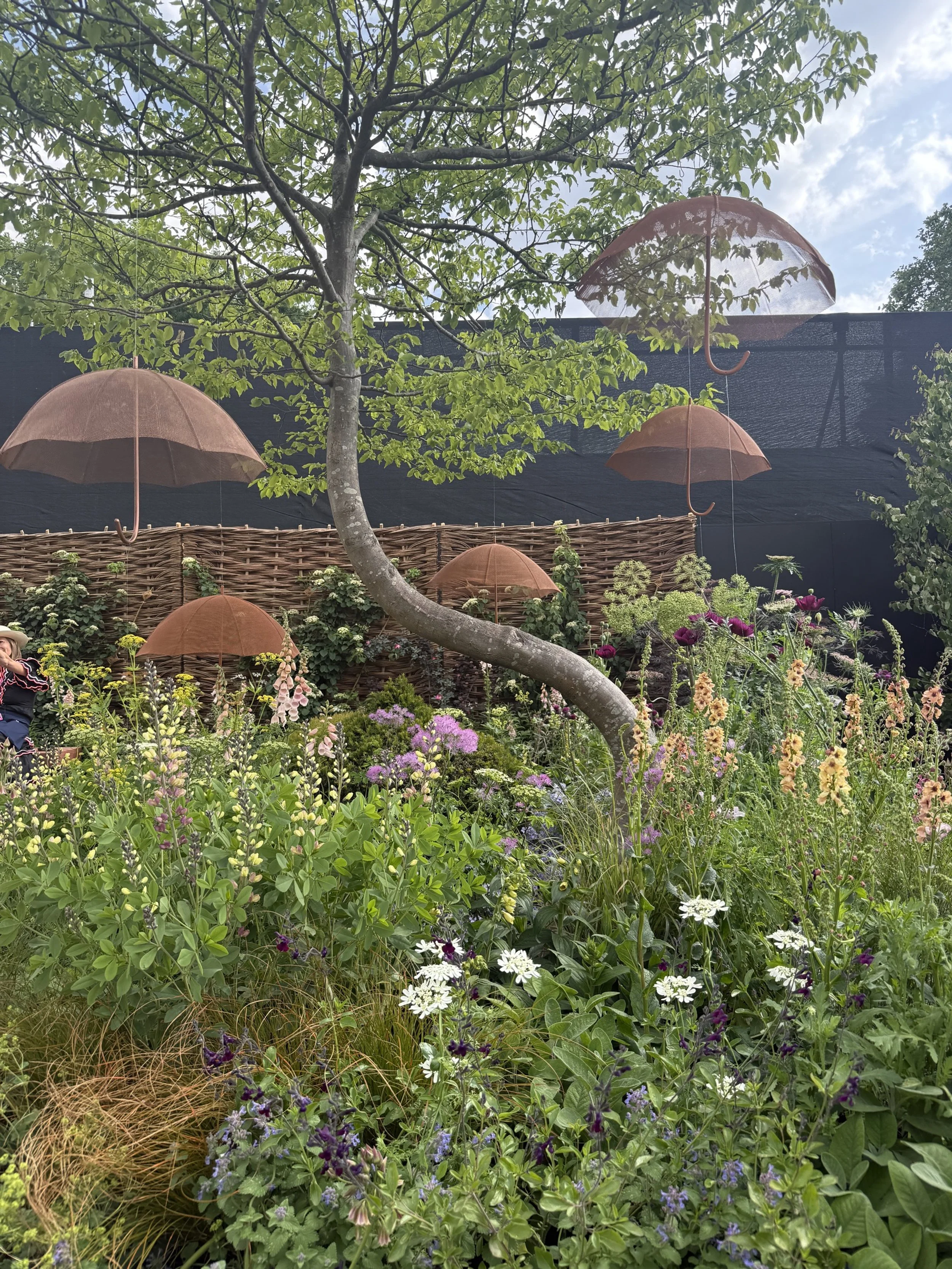 The ADHD Foundation Garden Chelsea Flower Show 2025