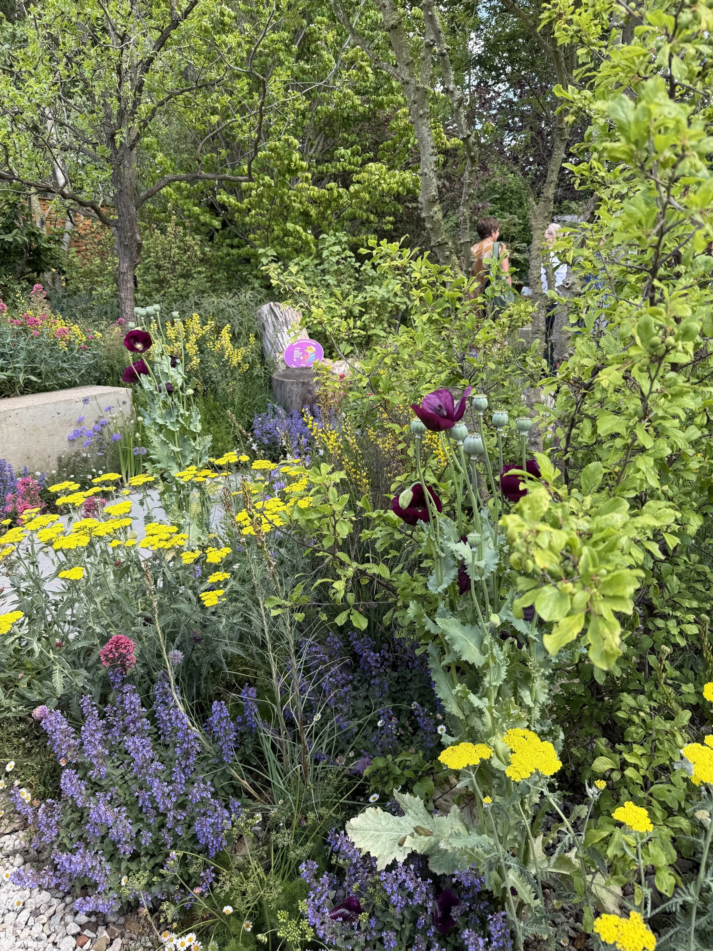 Avanade Intelligent Garden at Chelsea Flower Show 2025