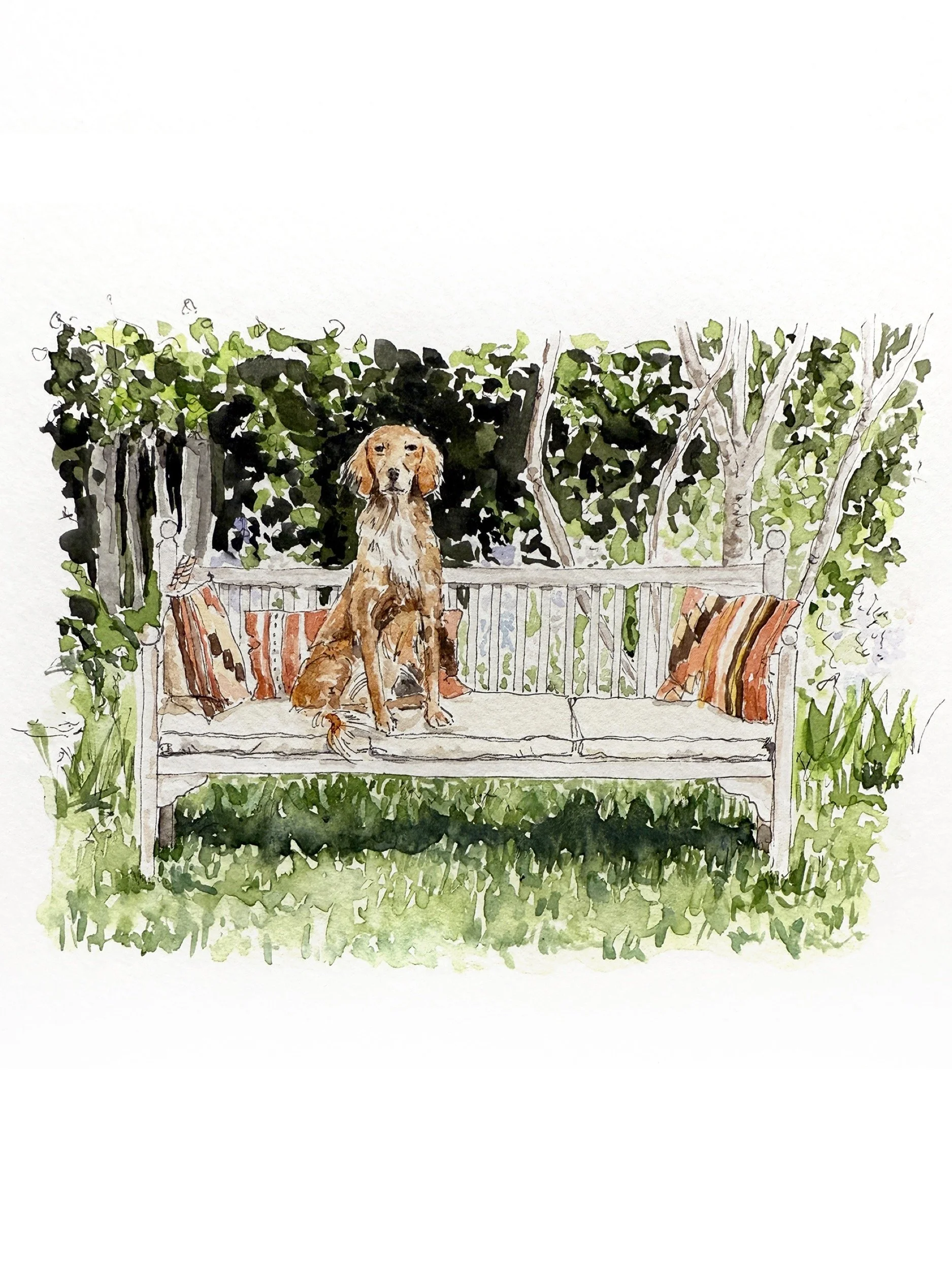 The Chelsea Flower Show Dog Garden Watercolour Illustration