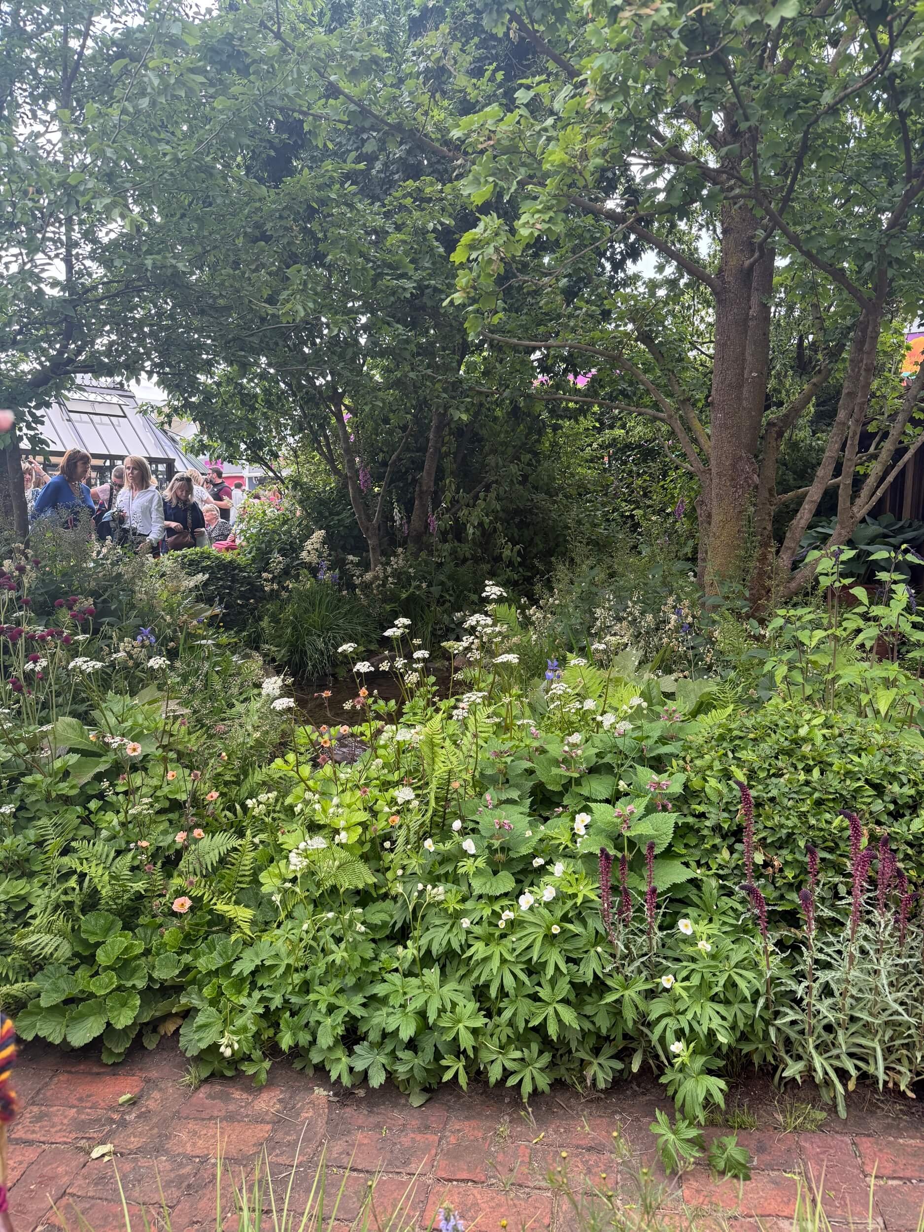 Chelsea Flower Show 2025 Monty Don's Dog Garden