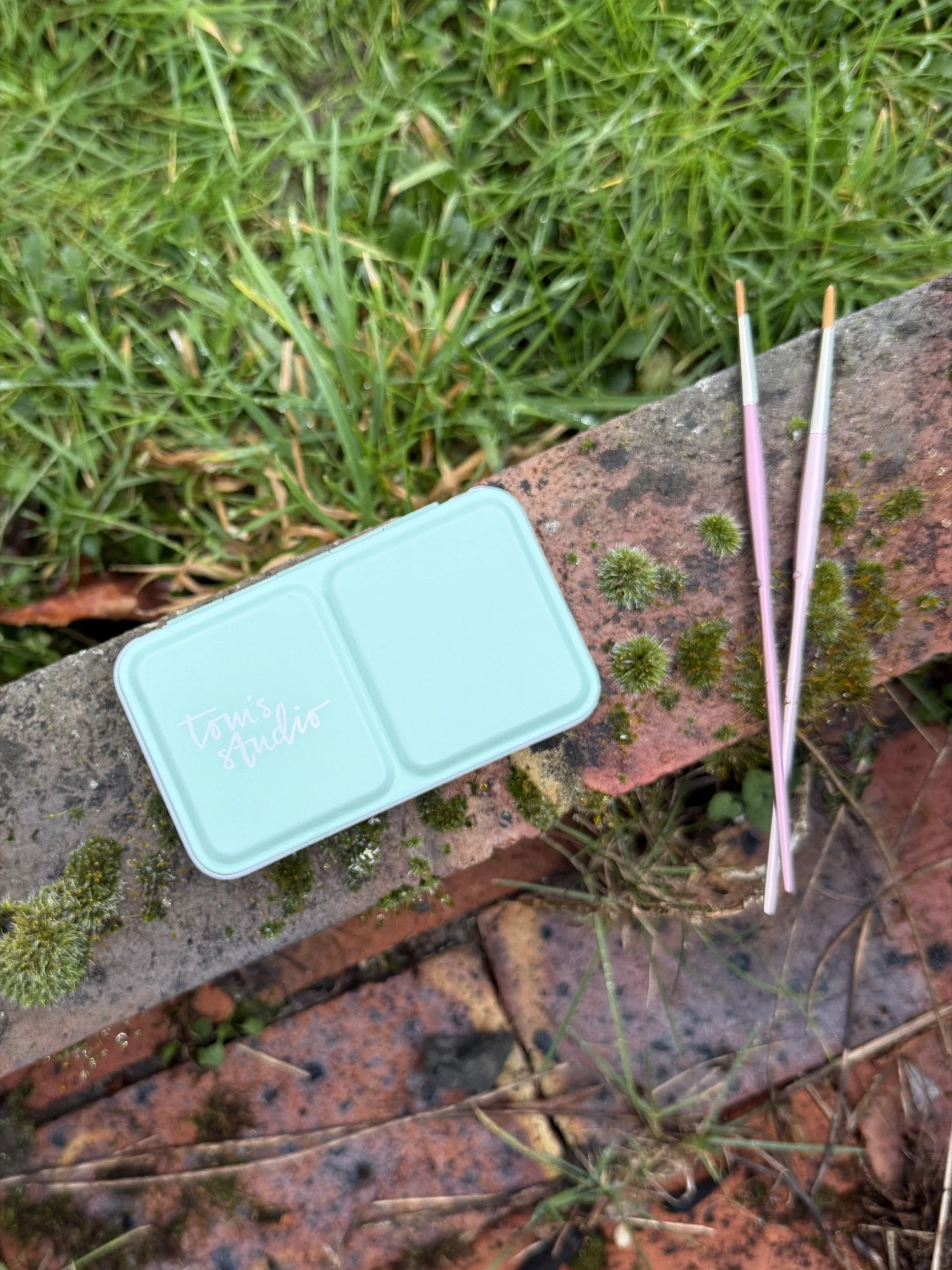 Tom's Studio Artist Series Brushes and Watercolour Paint Set