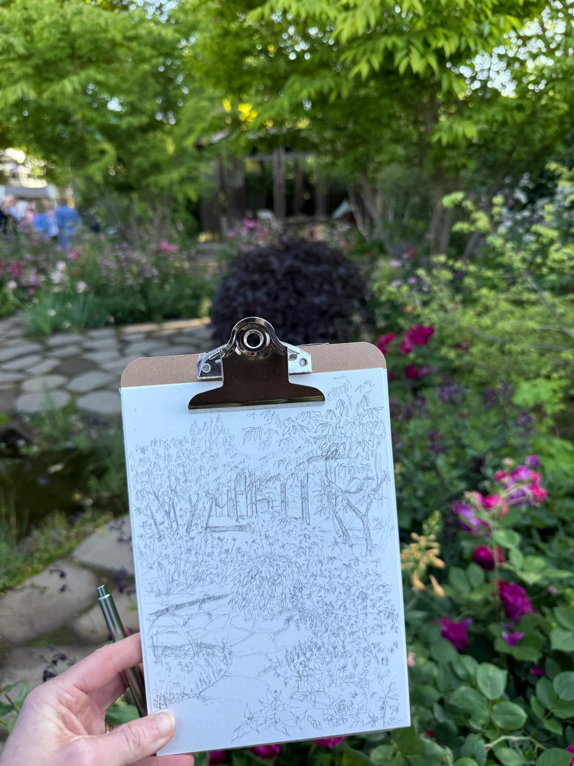 Live illustration at Chelsea Flower Show, London