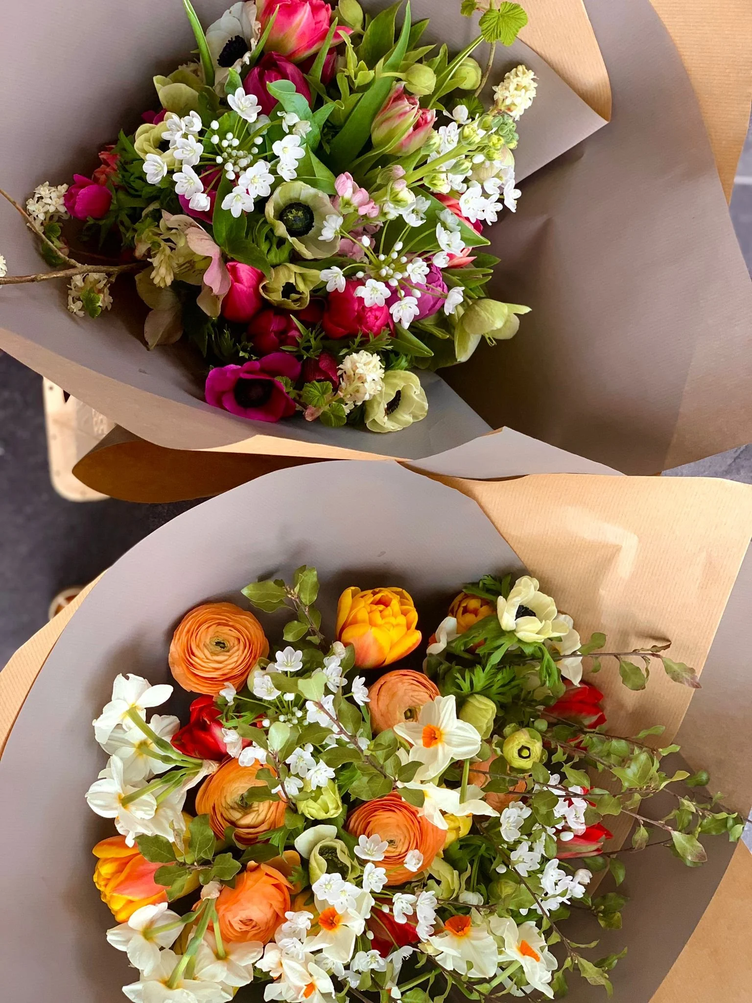 WhatsApp Image 2025-01-19 at 4.42.31 PM (1).jpeg