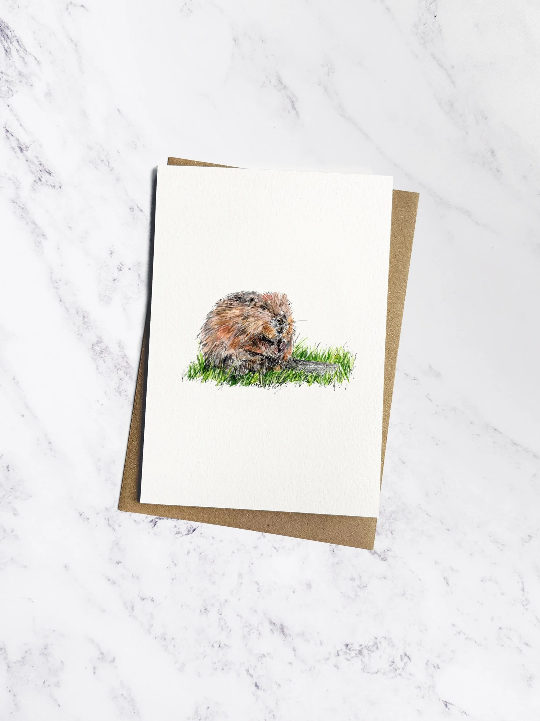 IP-C-BRI-02-Beaver-imogen-partridge-illustration-and-design.jpg