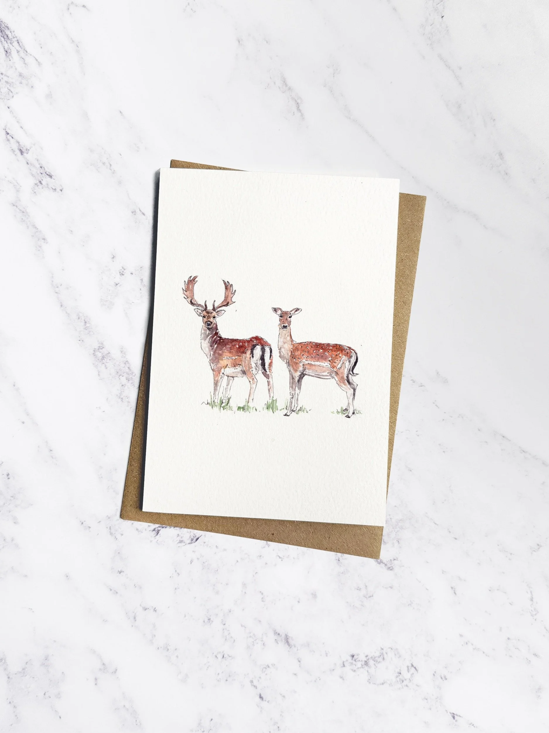 IP-C-BRI-06-Fallow Deer-imogen-partridge-illustration-and-design.jpg