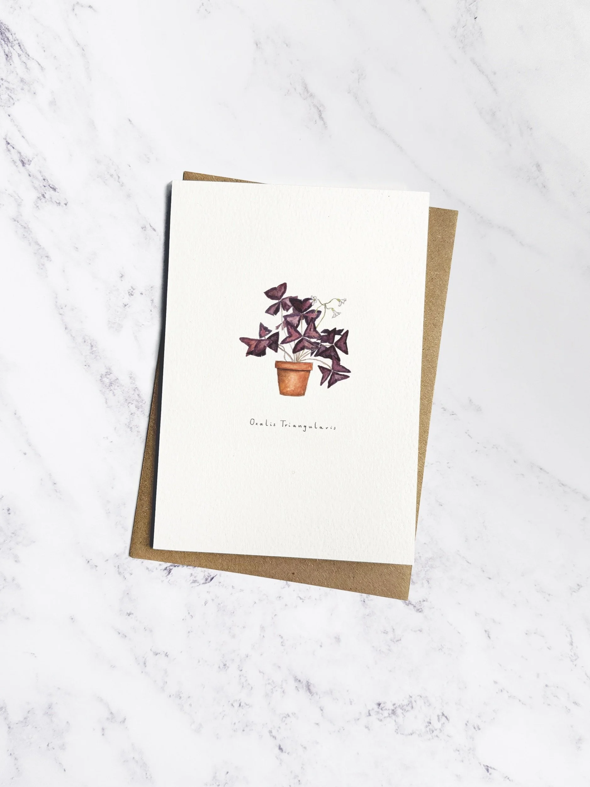A delicate watercolour illustrated greetings card of an Oxalis Triangularis (Purple Shamrock) in a ceramic pot. The off white card has a brown kraft envelope tucked behind.