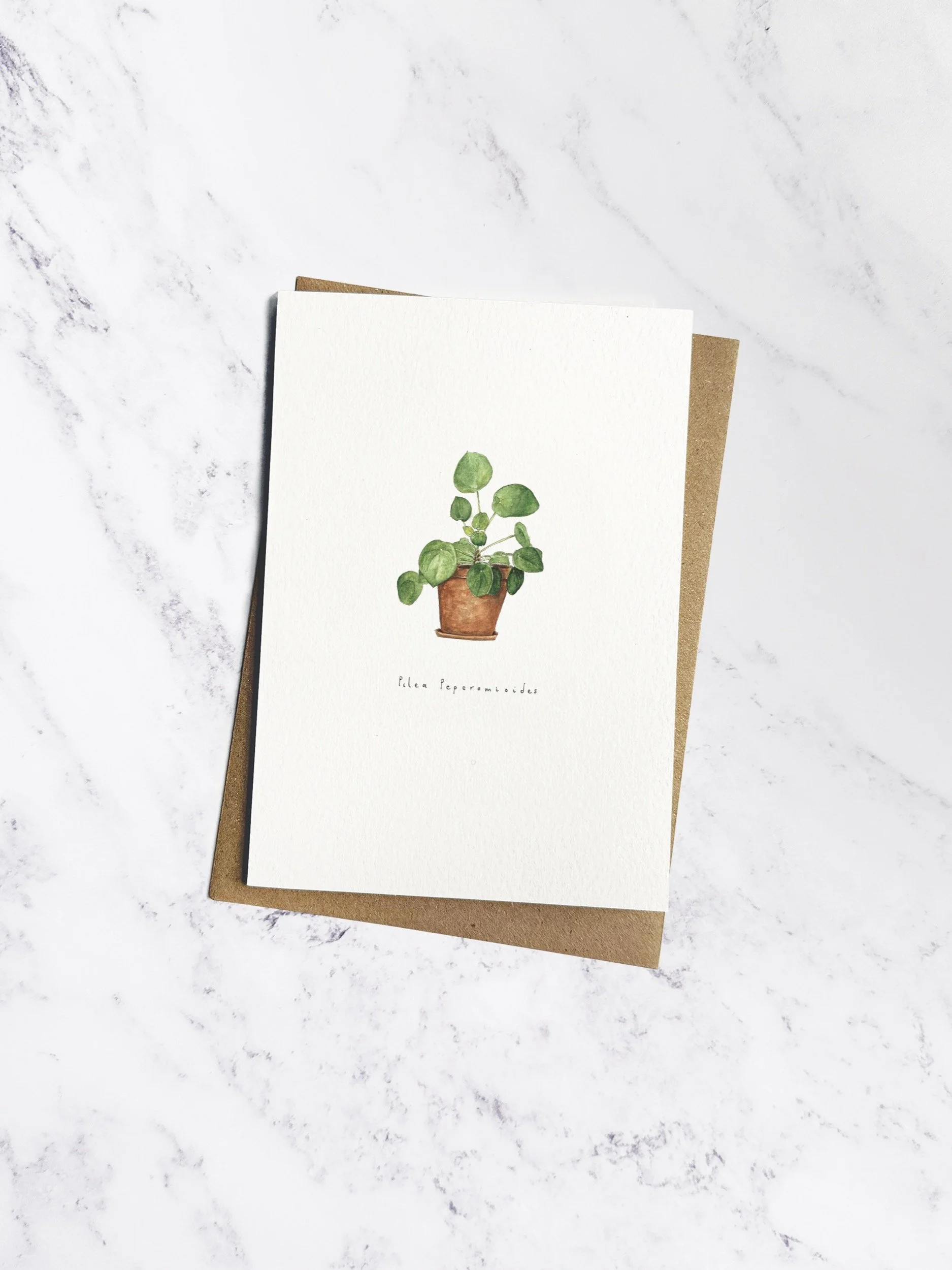 A delicate watercolour illustration of a Pilea Peperomioides (Chinese Money Plant) with its coin-shaped leaves, in a terracotta pot. The off white card has a brown kraft envelope tucked behind.