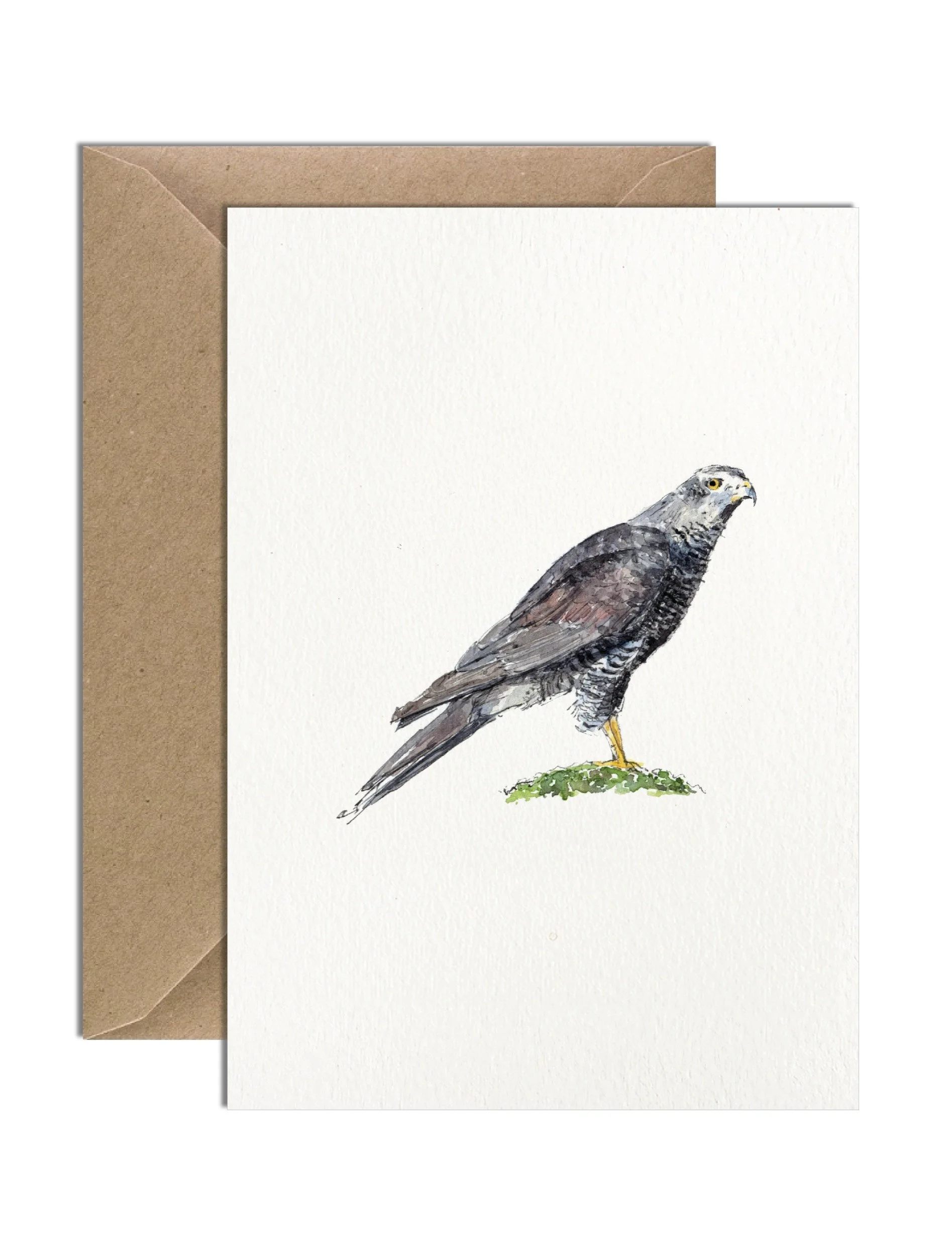 IP-C-BRI-04-Goshawk Card-imogen-partridge-illustration-and-design.jpg