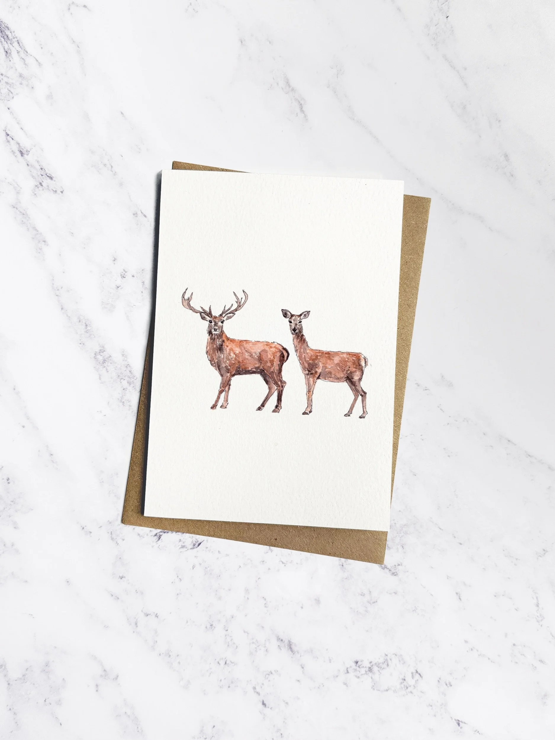 IP-C-BRI-05-Red Deer-imogen-partridge-illustration-and-design.jpg